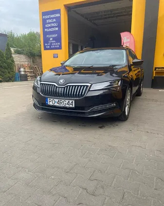 skoda superb Skoda Superb cena 145000 przebieg: 28715, rok produkcji 2020 z Torzym